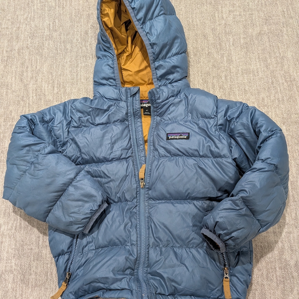 Patagonia Kids Blue Puffer Jacket